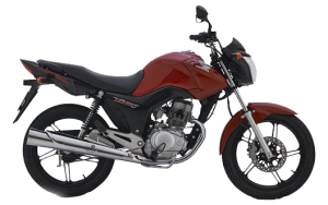 moto nuevo modelo delivery